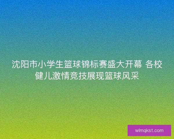 沈阳市小学生篮球锦标赛盛大开幕 各校健儿激情竞技展现篮球风采 沈阳市小学生篮球锦标赛盛大开幕 各校健儿激情竞技展现篮球风采