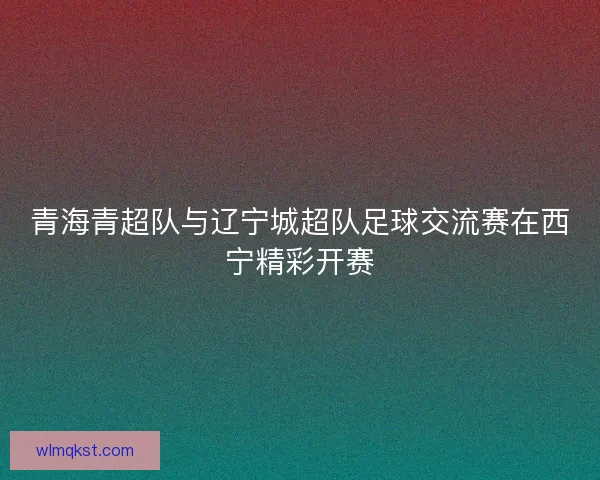 青海青超队与辽宁城超队足球交流赛在西宁精彩开赛