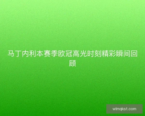 马丁内利本赛季欧冠高光时刻精彩瞬间回顾
