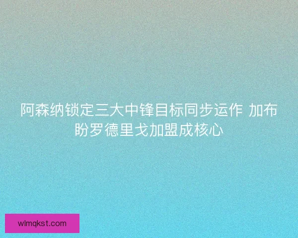 阿森纳锁定三大中锋目标同步运作 加布盼罗德里戈加盟成核心